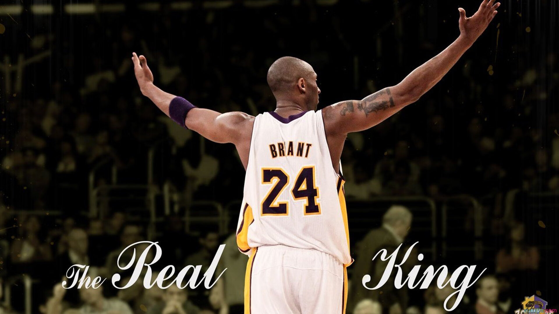 【女子棒球】女选手们在赛场上的突破，女棒球员